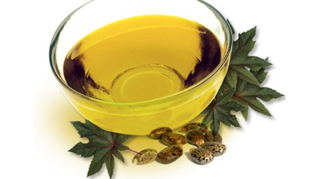 Castor oil in Zxcvbnmqwt